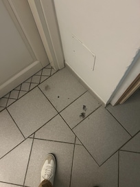Mold that came out of A/C unit