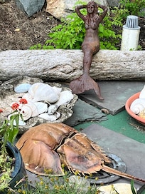 Mermai lounces outside