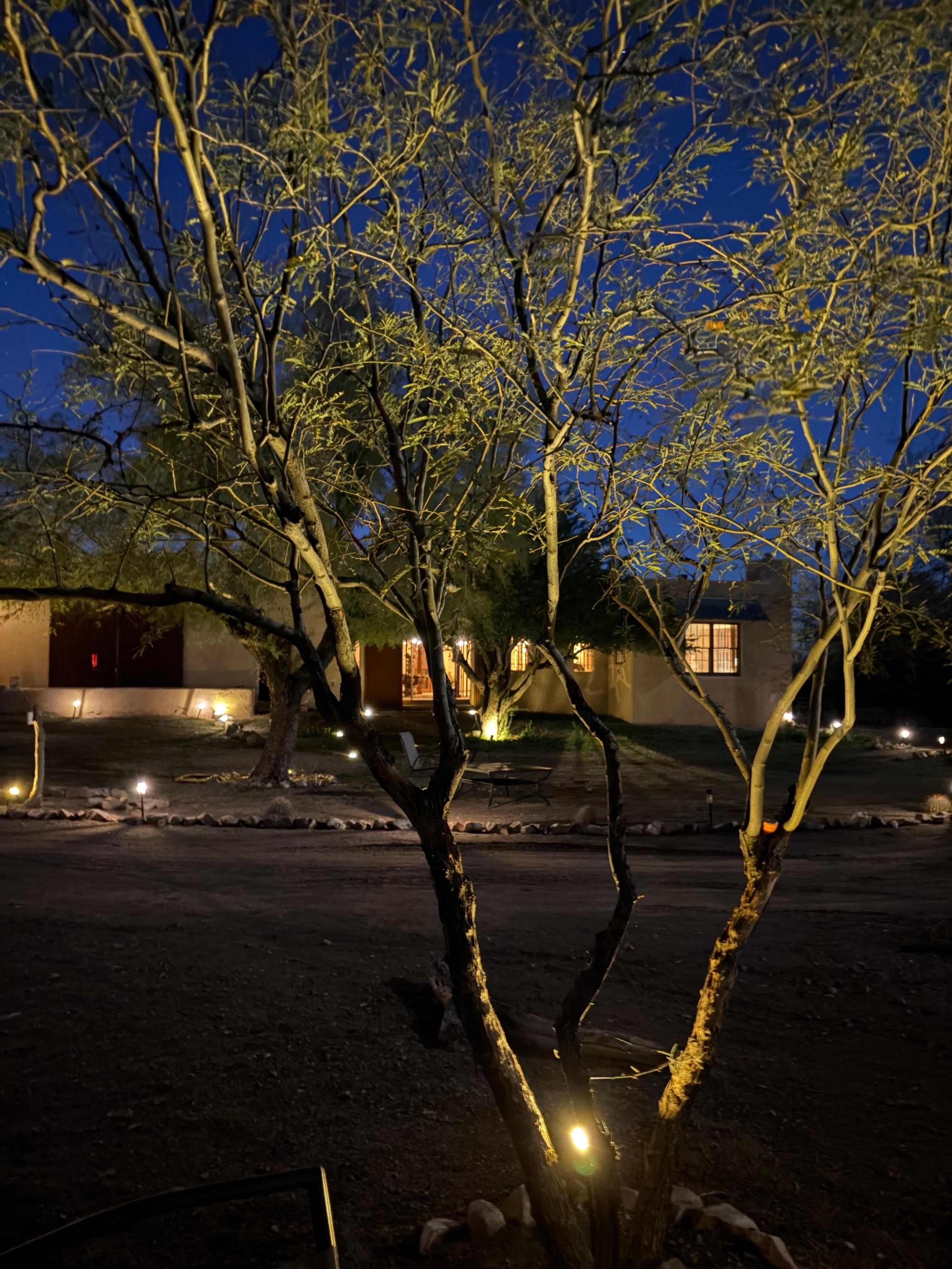 The grounds at night