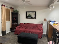 Had to cover the dirty sofa