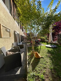 Jardín y tranquilidad