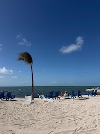 Beach area