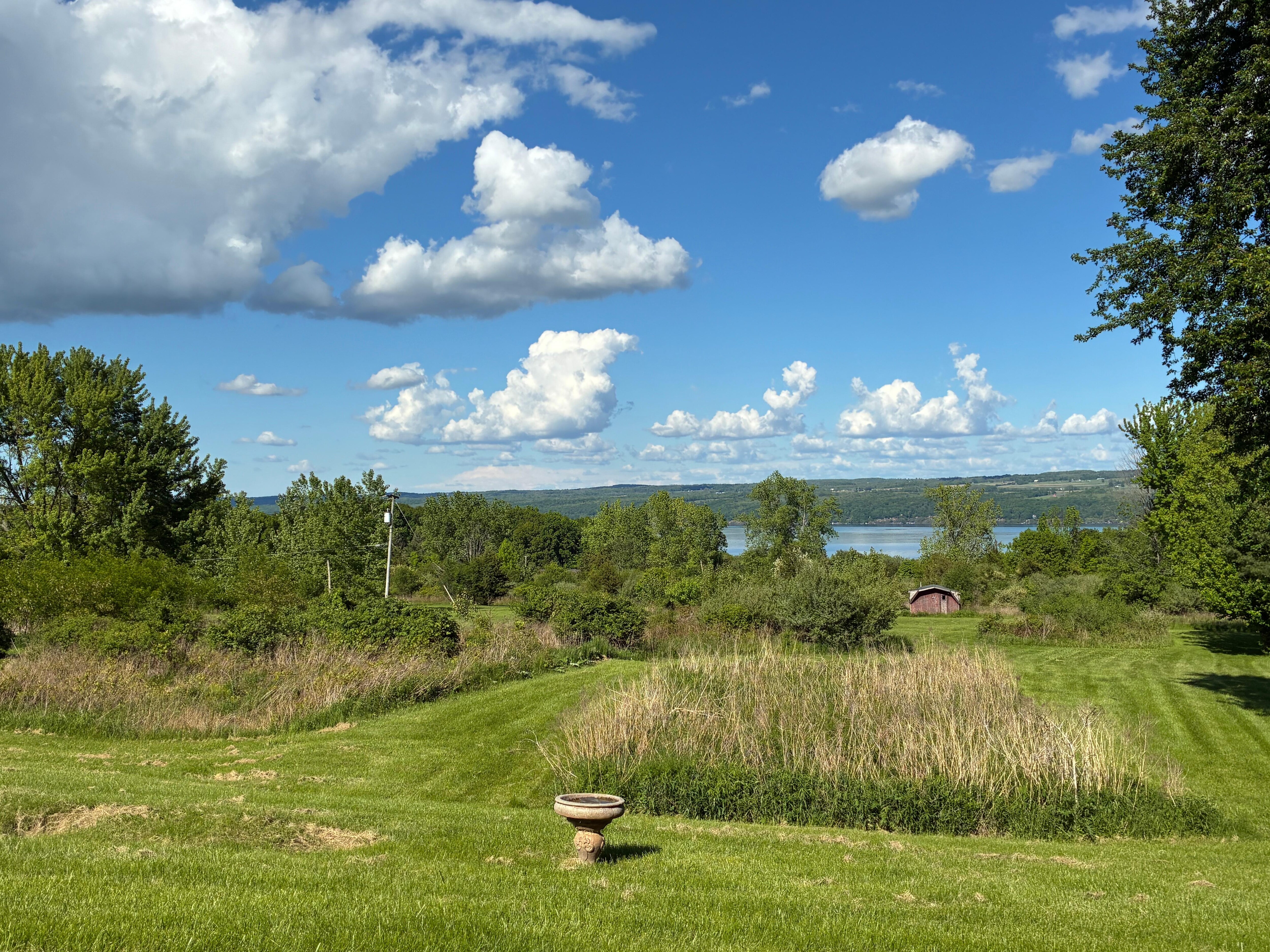 View from the back porch