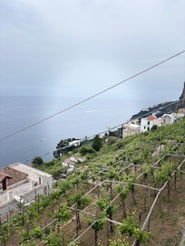 View from entrance of home