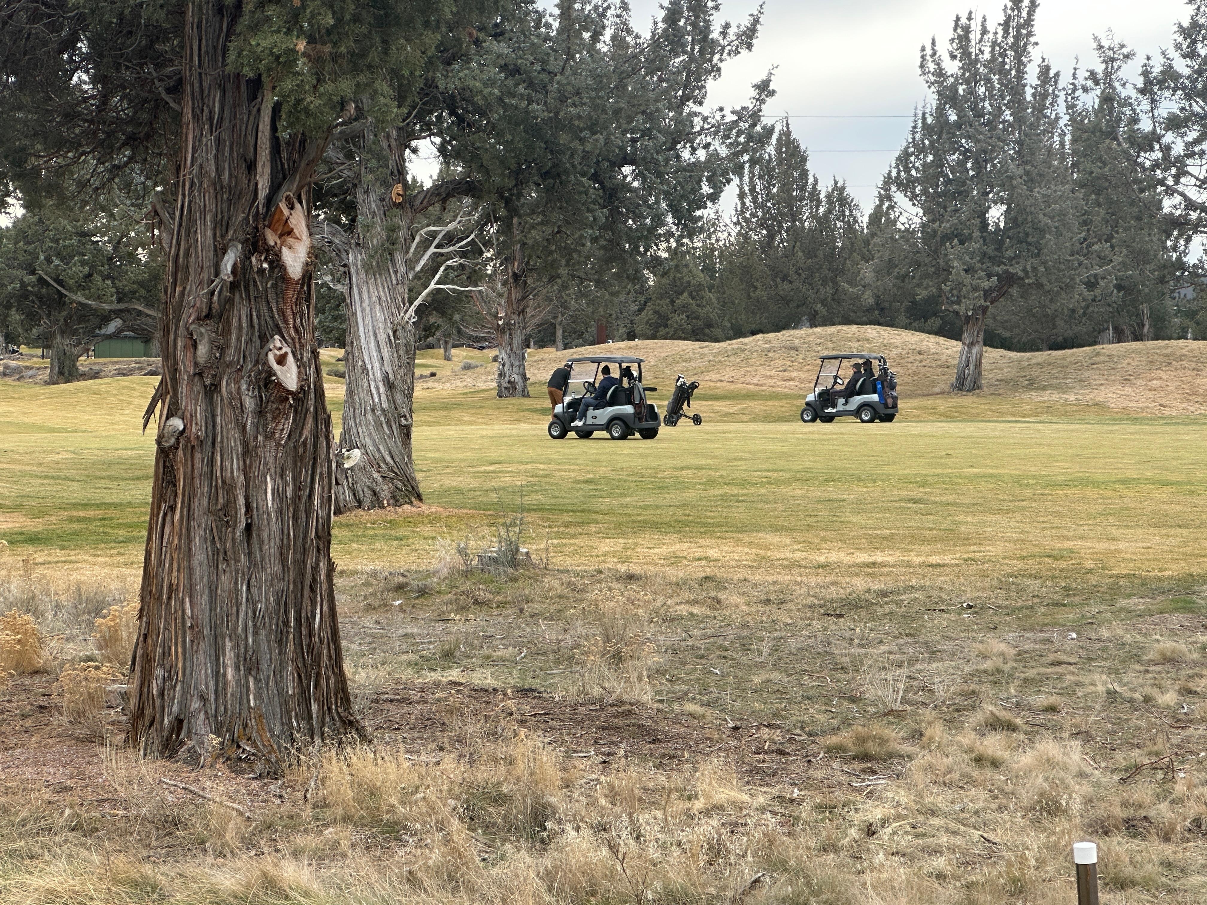 Golfers from the back porch of property! 