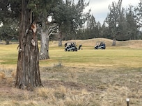 Golfers from the back porch of property!