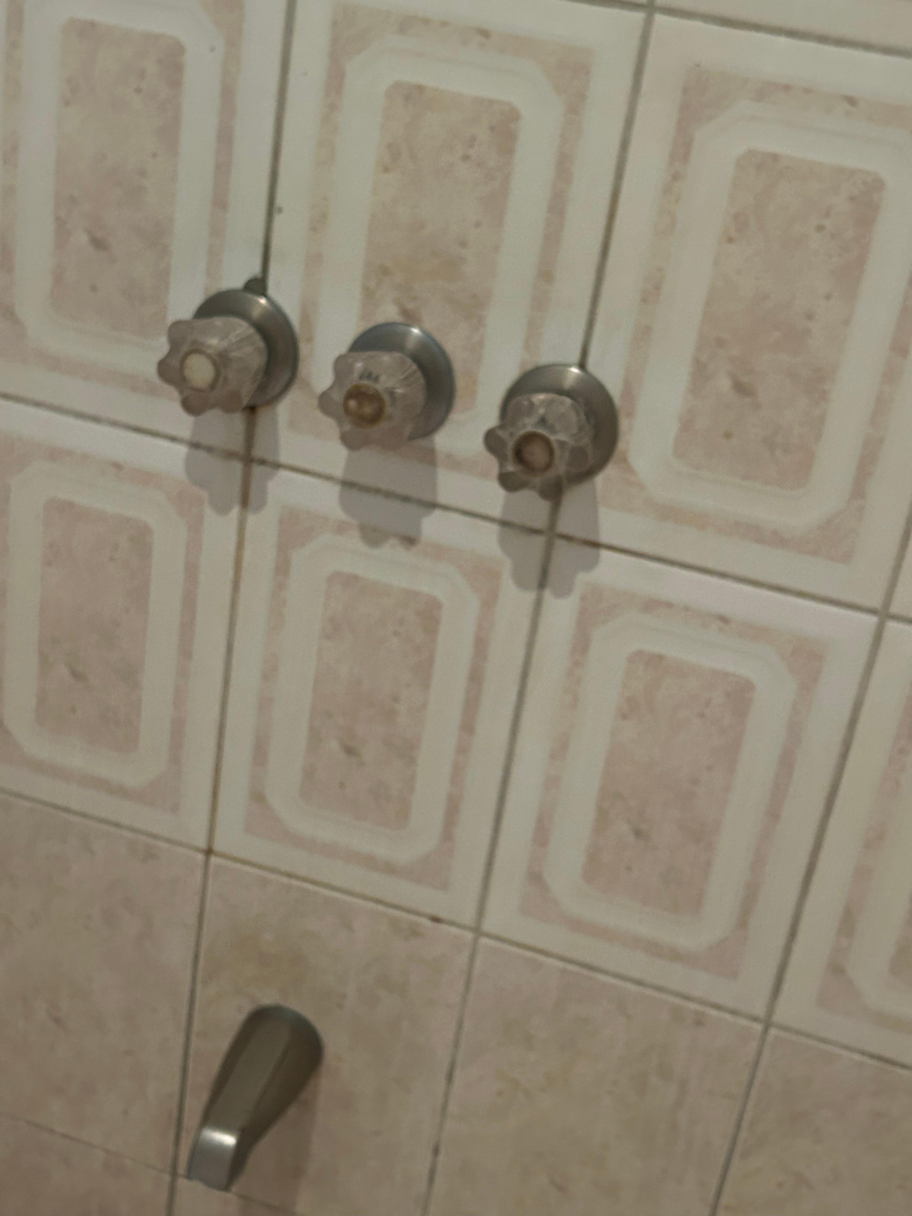 Old bathroom finishes