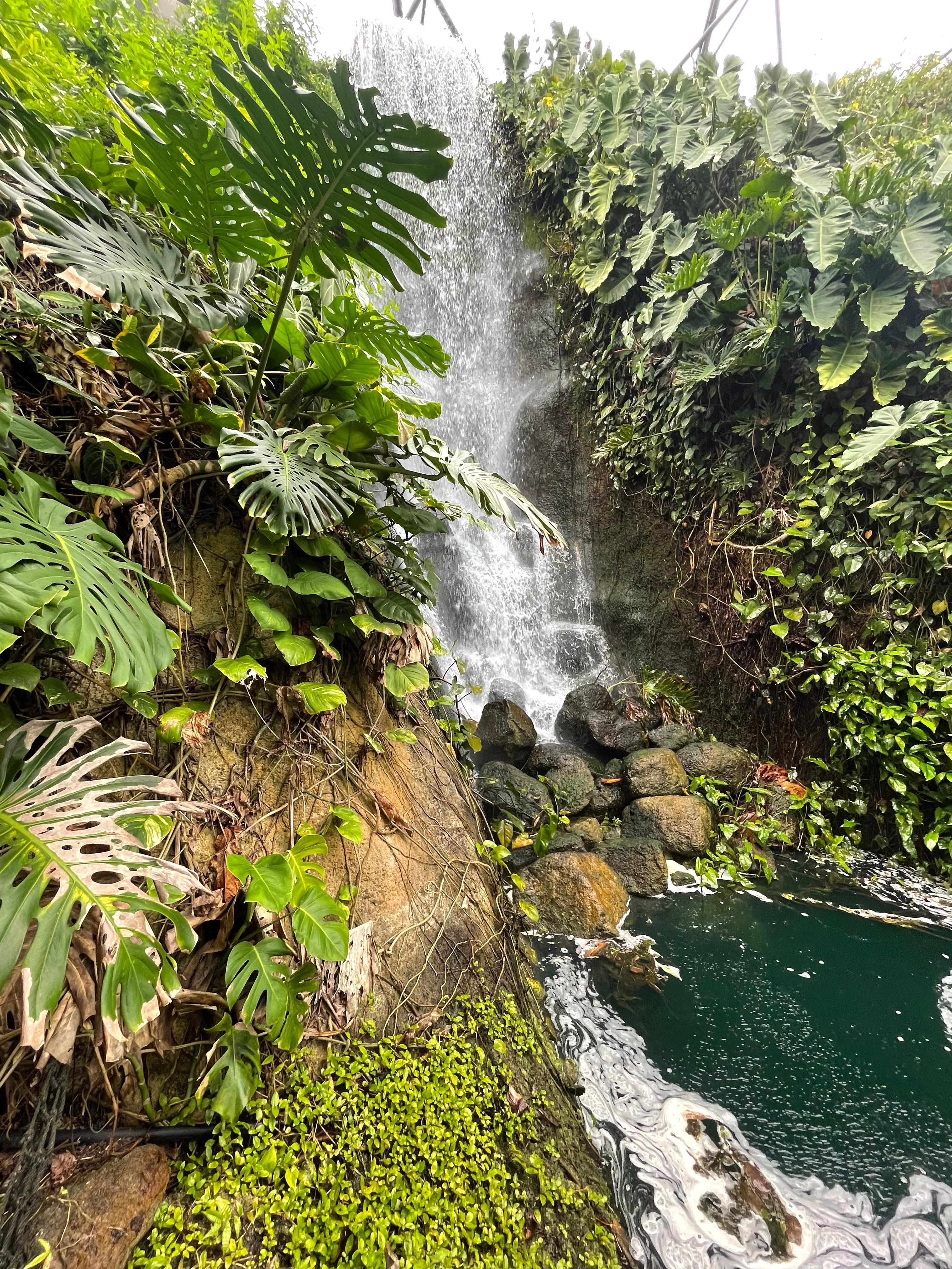 Eden Project