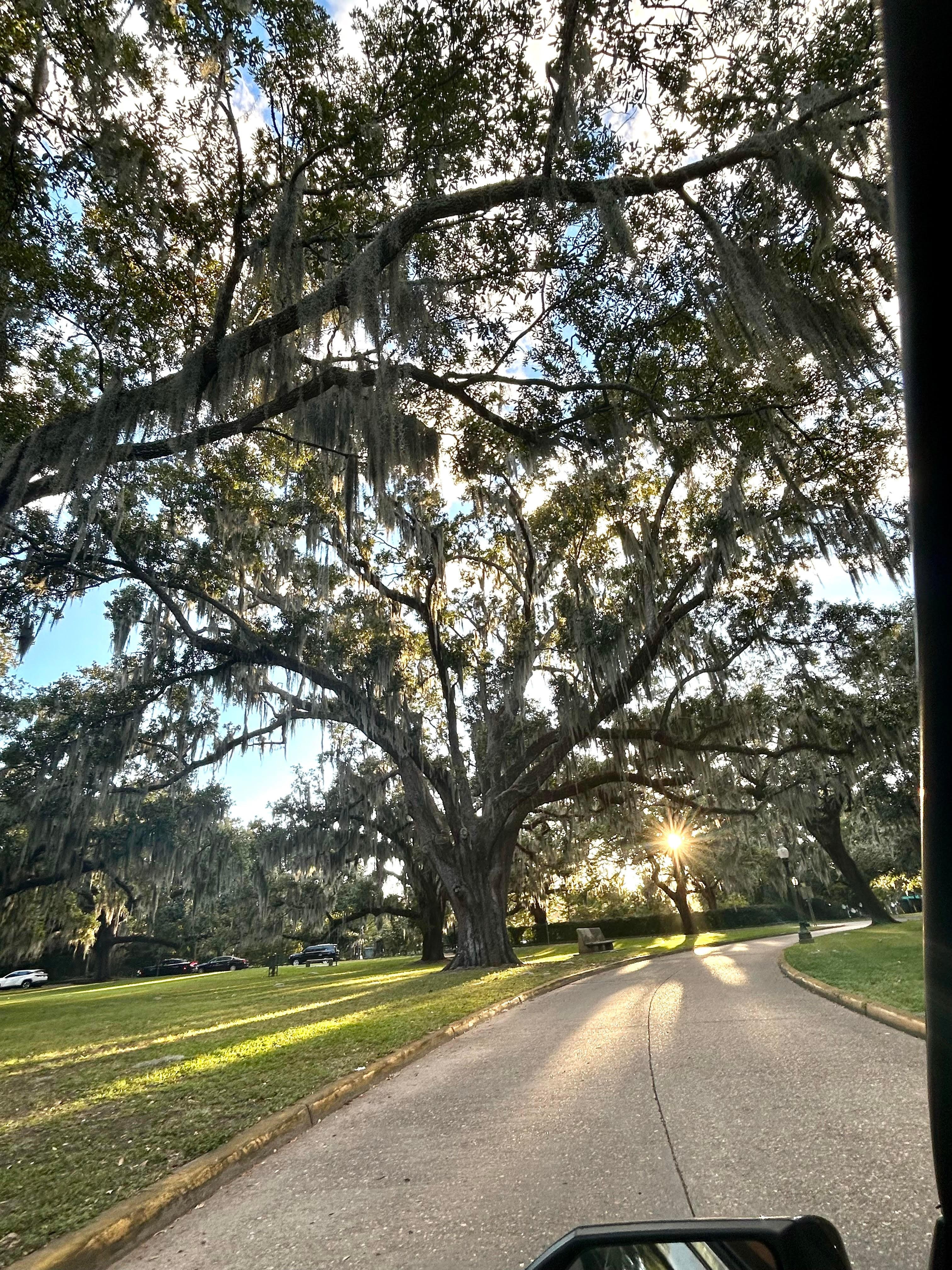 City Park in the fall beautiful