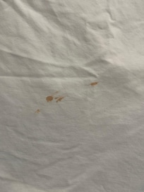 Blood stains on sheets we received from front desk as clean sheets