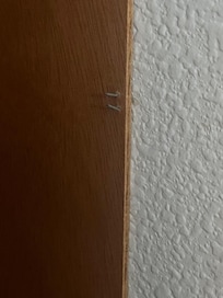 Exposed staples right near light switch