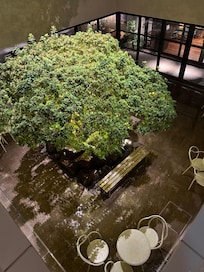 Open ceiling concept where it rains into this area - very tranquil