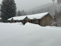 Pretty in the winter