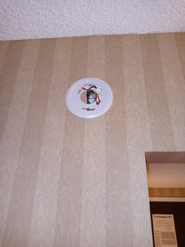Missing smoke alarm