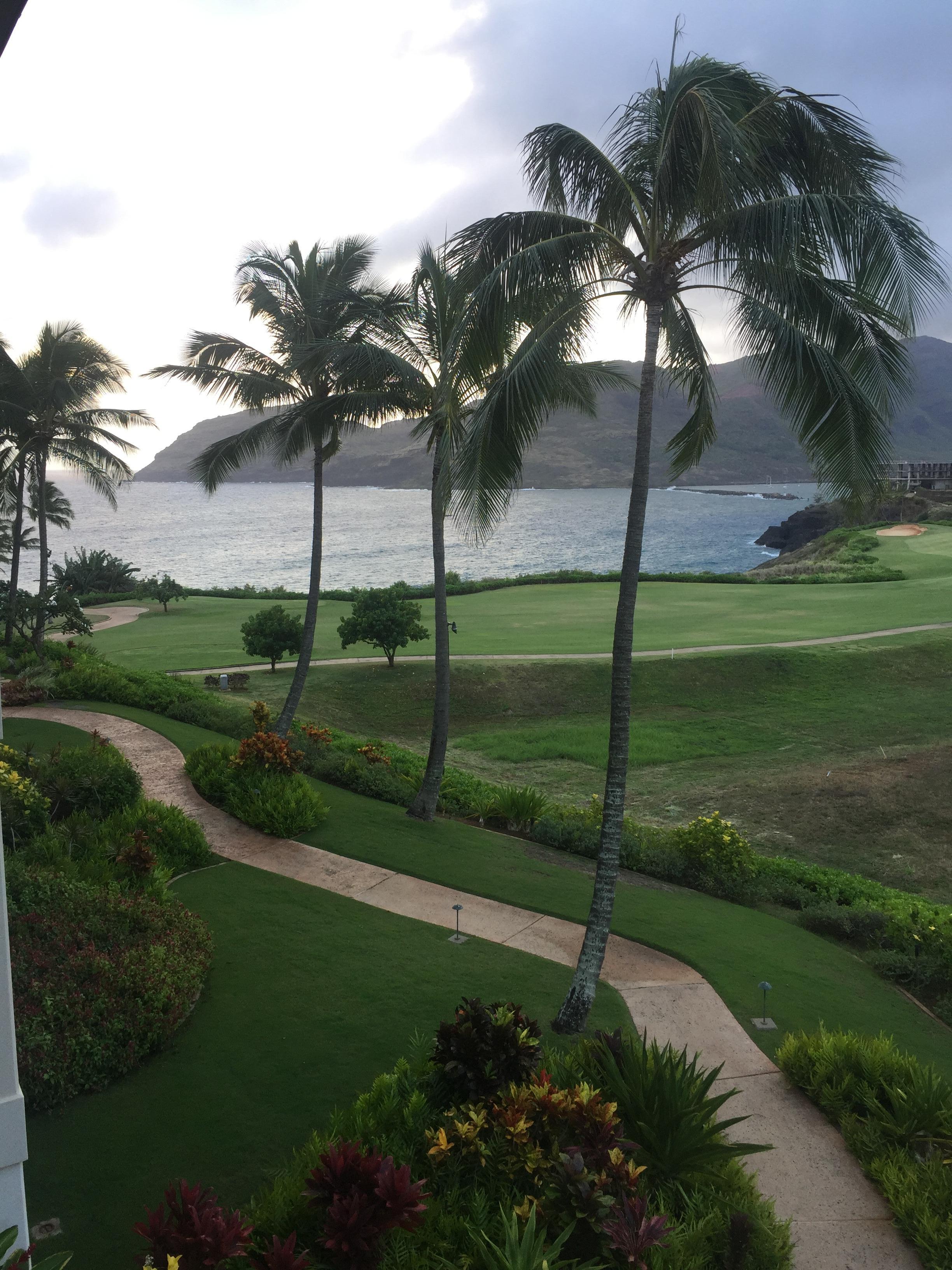 View from the balcony