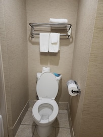 The tightness of the toilet. It's hard to convey in pictures. There is very little room, and the toilet is super low to the floor.