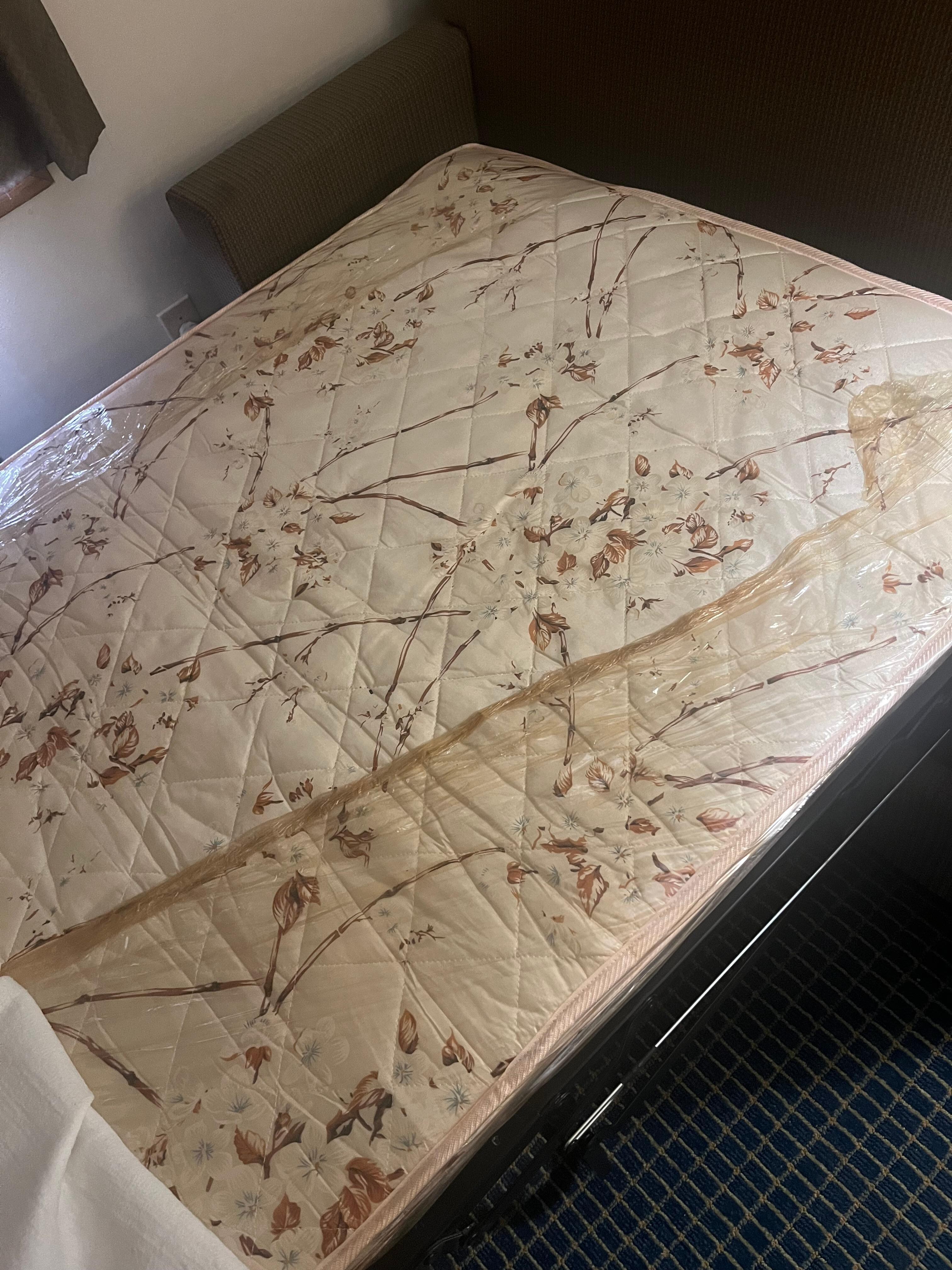 This was the pull out bed