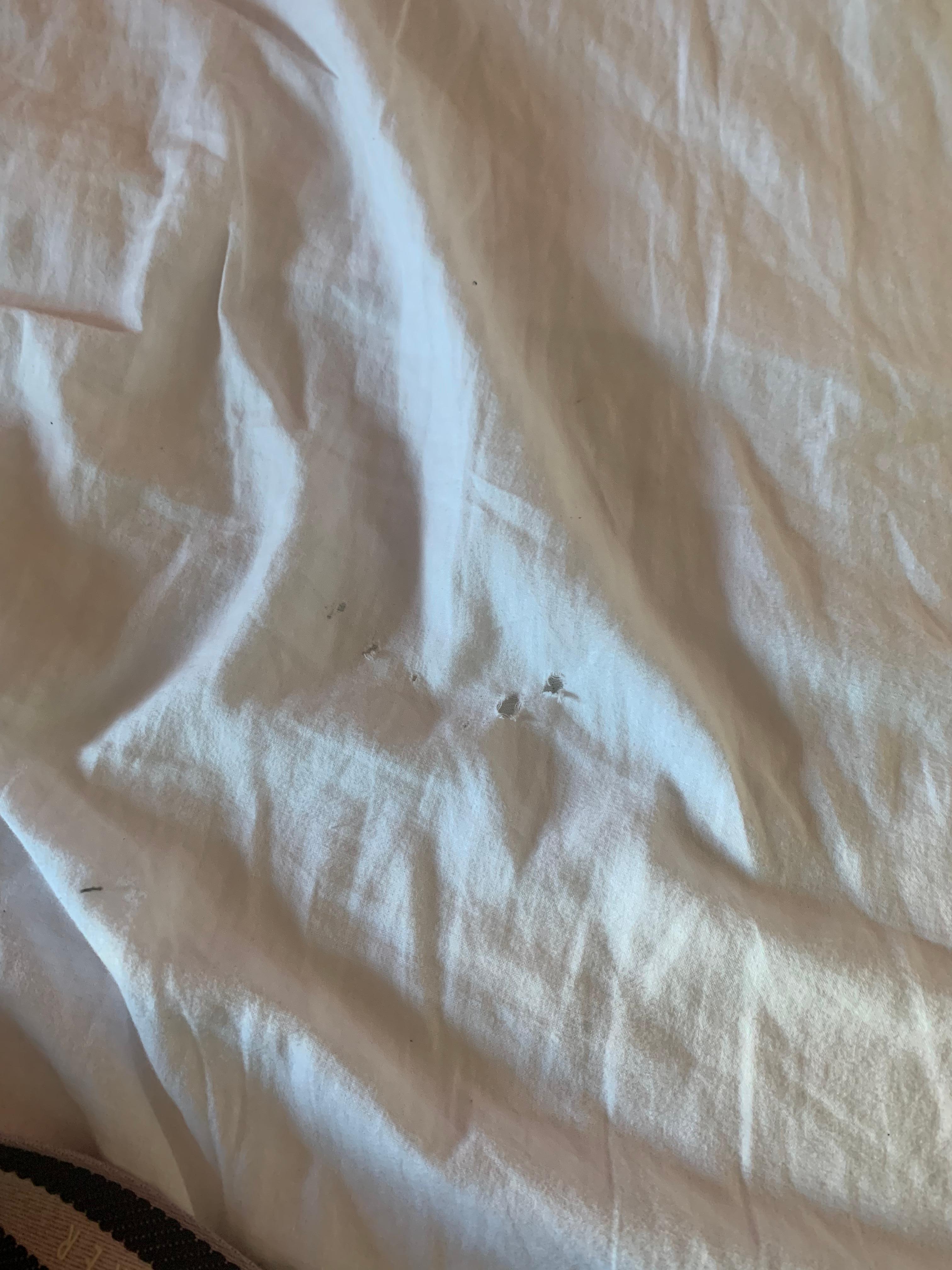 Holes on the bad sheets 