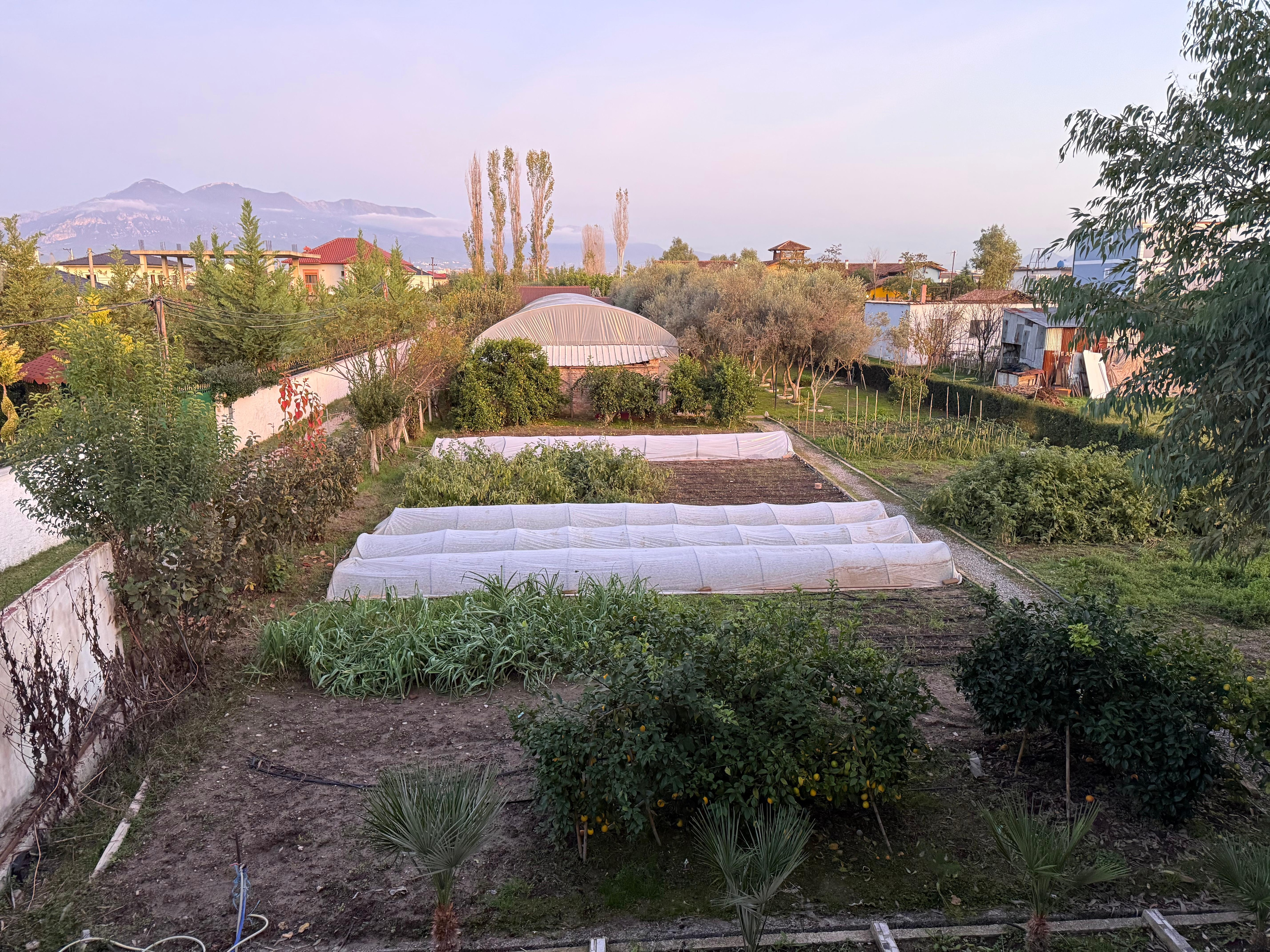 Garden view from our room. 