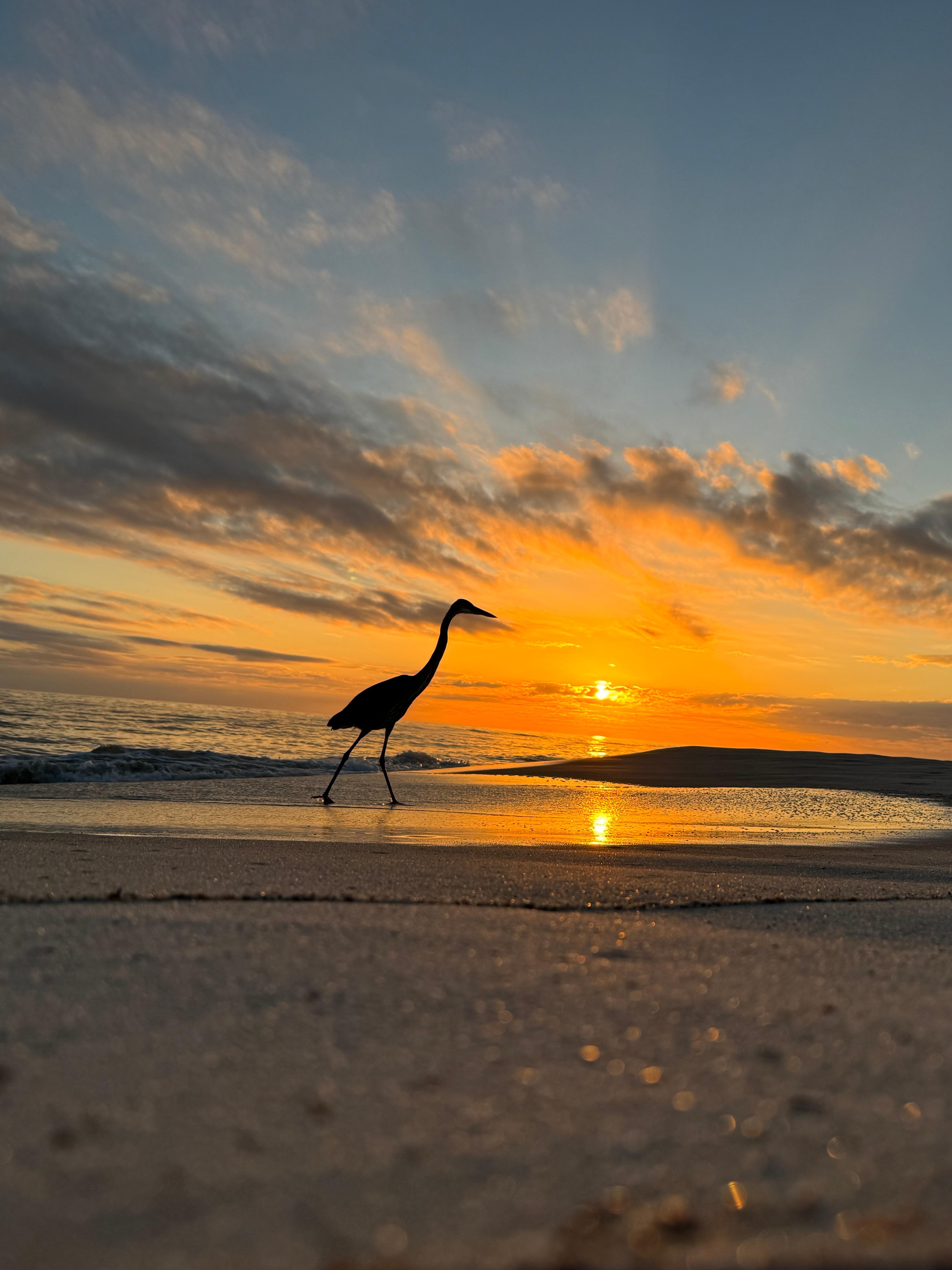 Fred wanted a photo shoot 