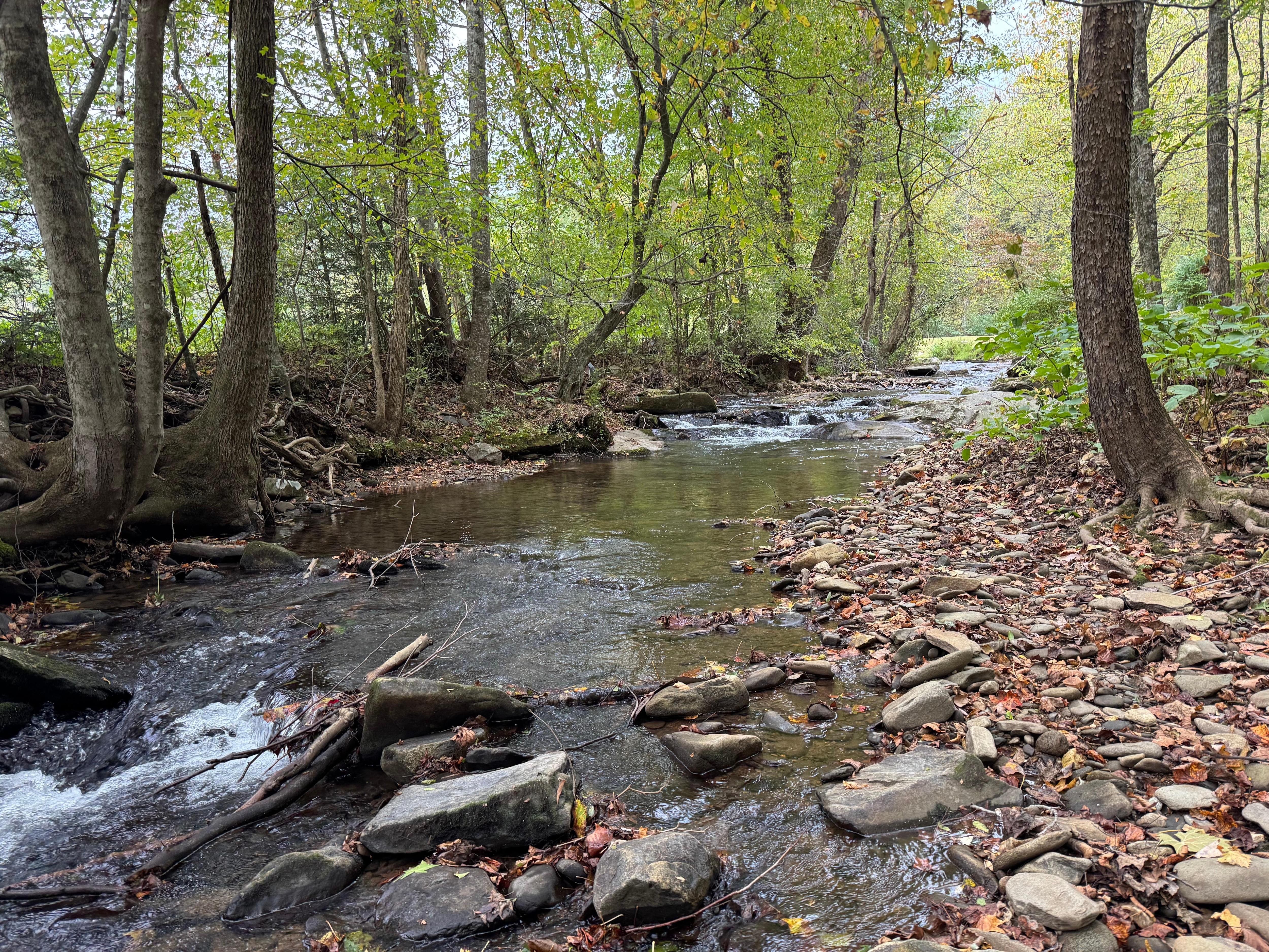 Beautiful little stream in front