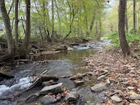 Beautiful little stream in front