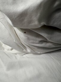 Several other rooms were impacted, even college ski team rooms.