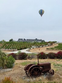 Early morning view of a hot air balloon from the front door.