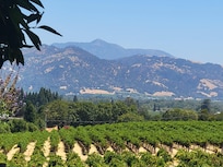 Francis Ford Coppola Winery