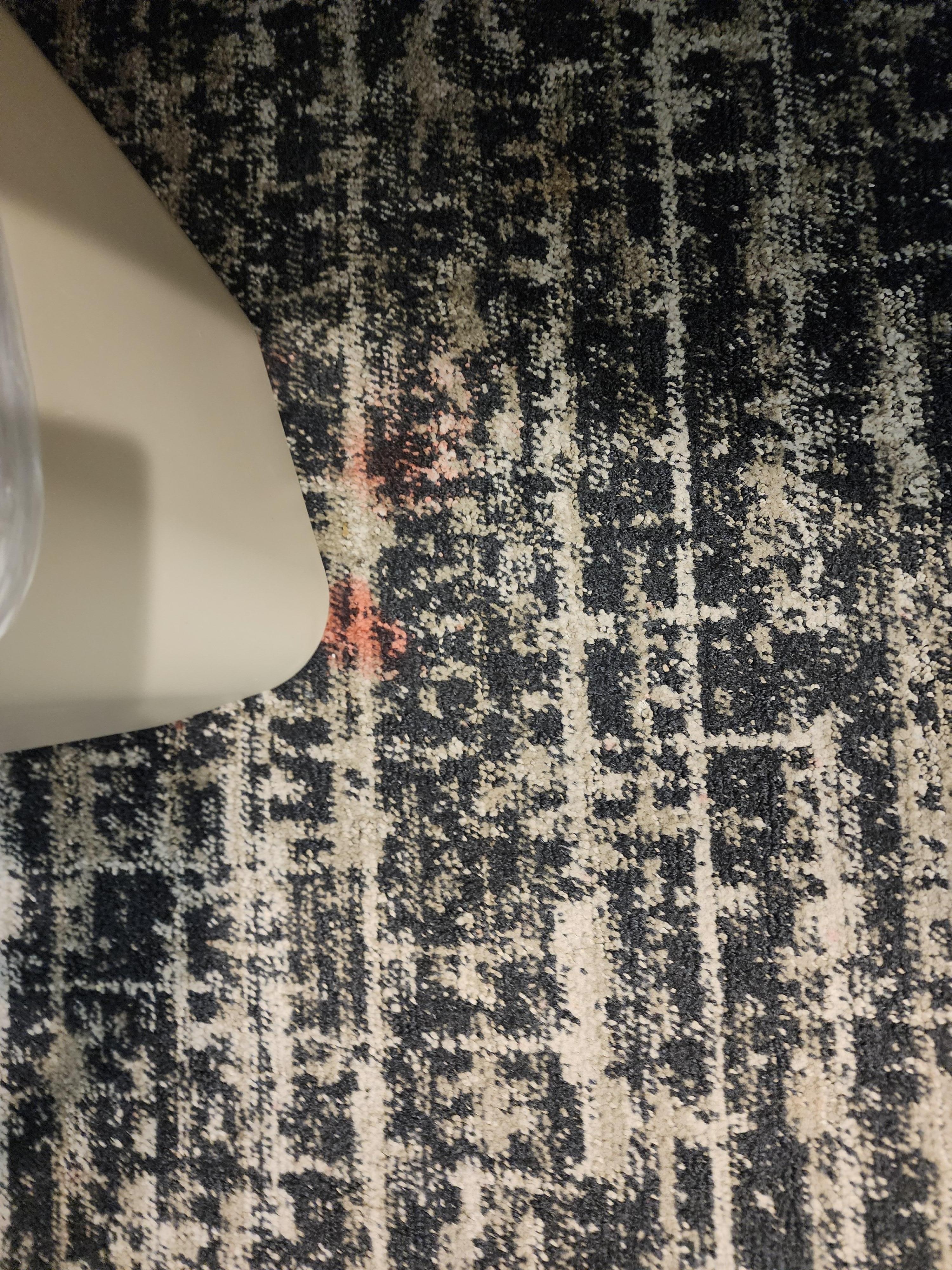Stained carpet in several places