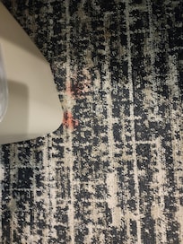 Stained carpet in several places