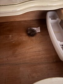Hairball in dresser