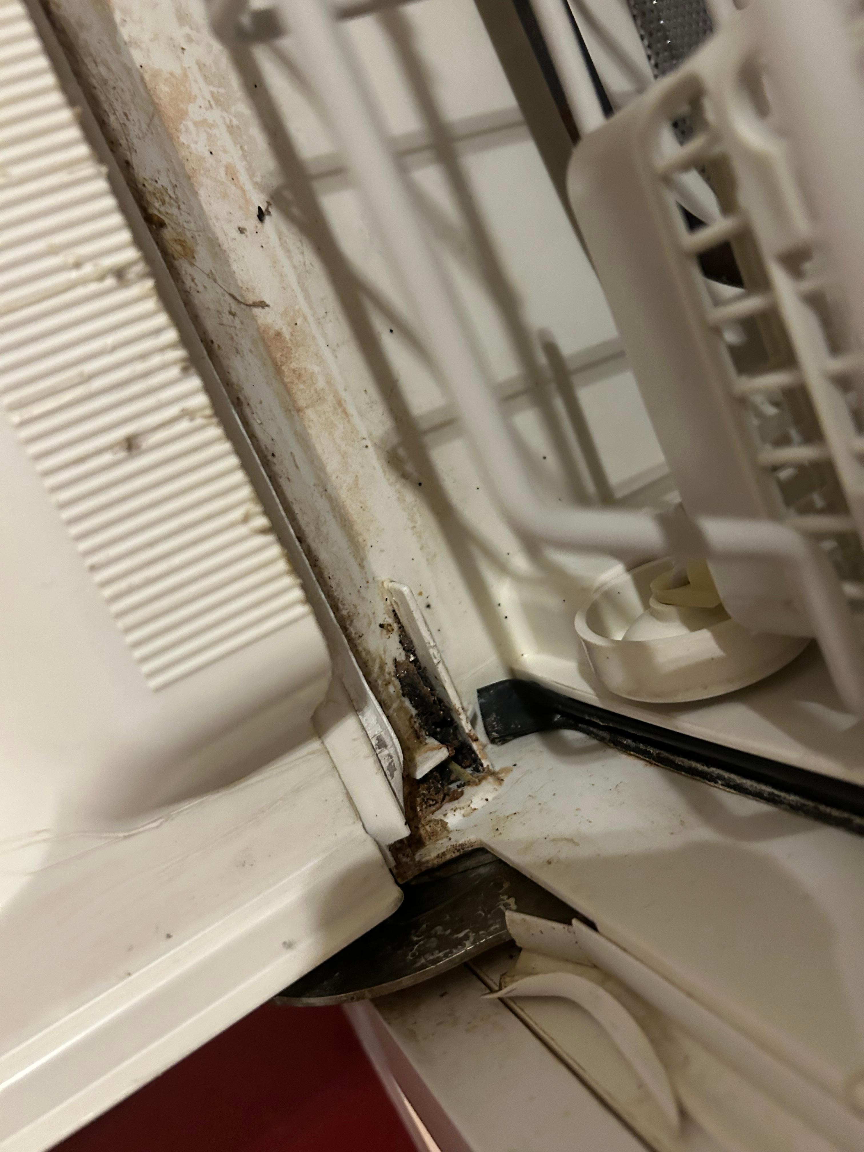 Cleanliness issues in dishwasher. 