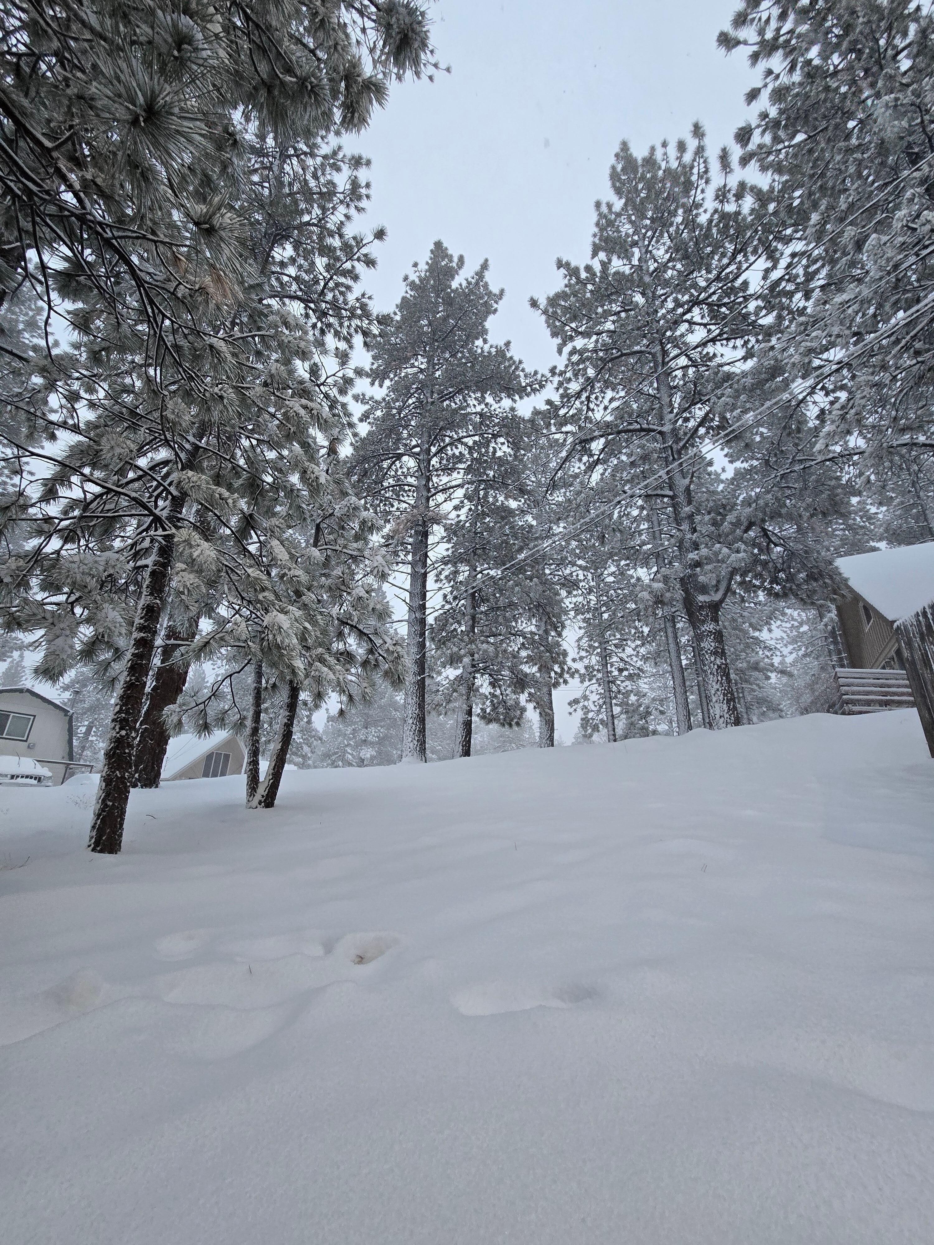 Front of the property as snow rolled in