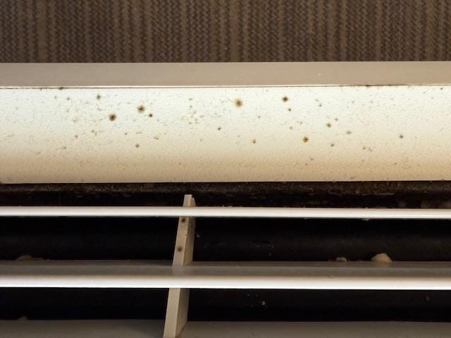 Mold on AC unit