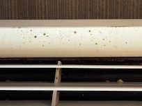 Mold on AC unit