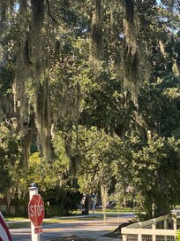 The view from the front porch