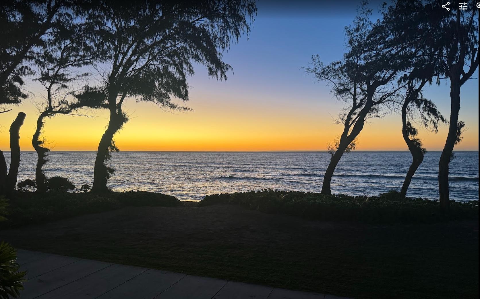 Seriously...this is the sunrise view from the room!