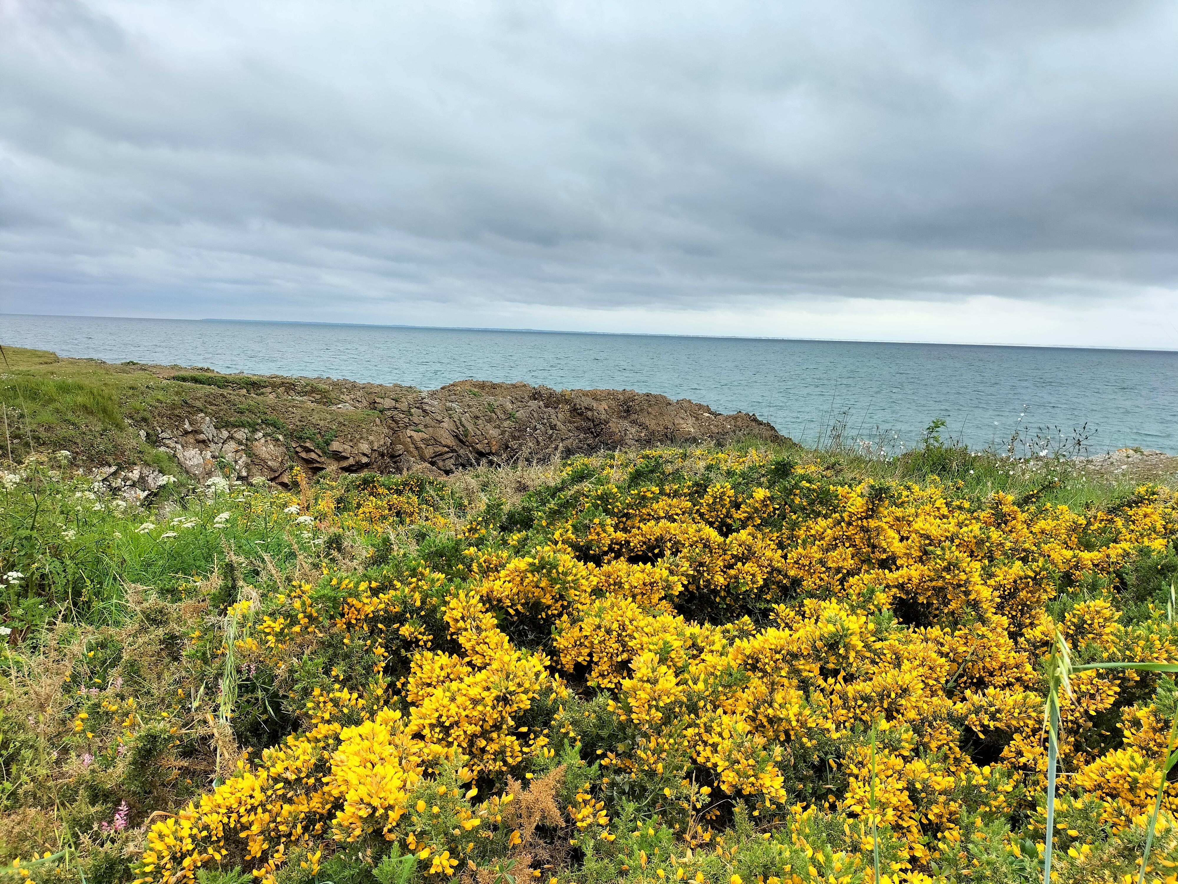 Entre la lande et la mer (randonnée entre Quimiac et Piriac)