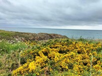 Entre la lande et la mer (randonnée entre Quimiac et Piriac)