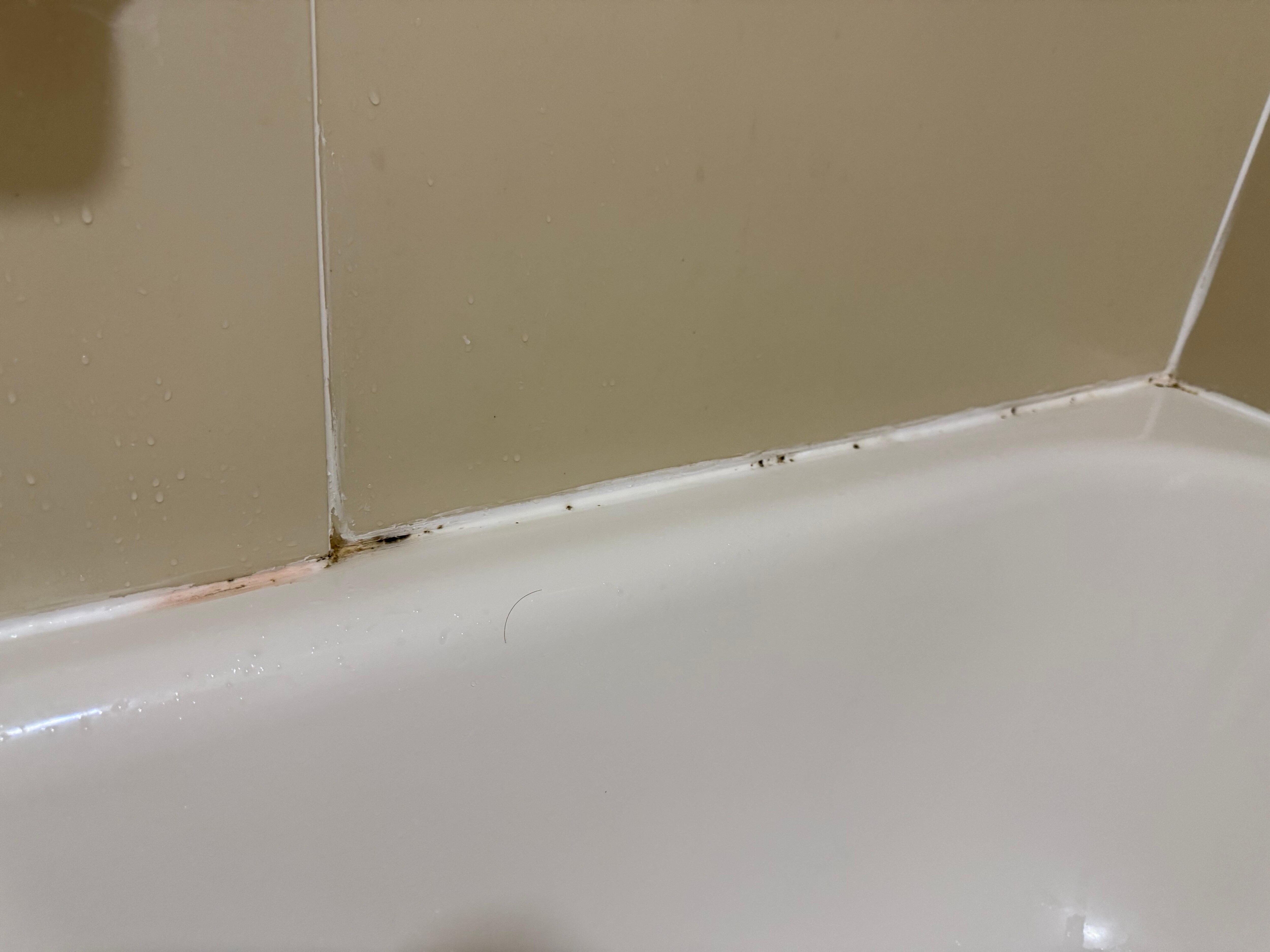Mold?