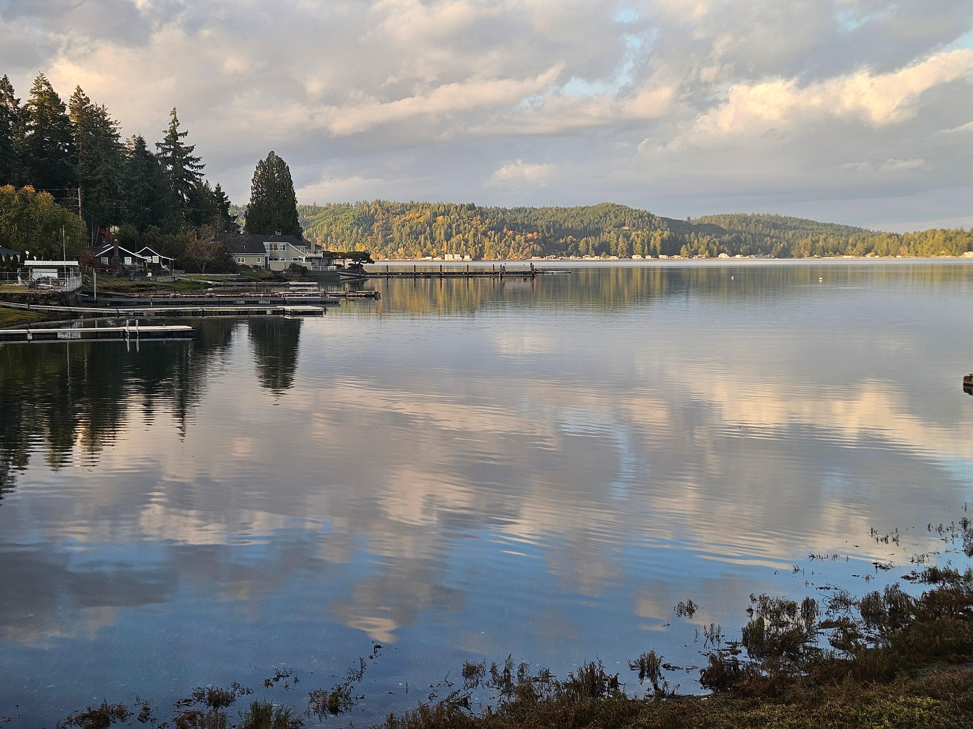 View from the living room