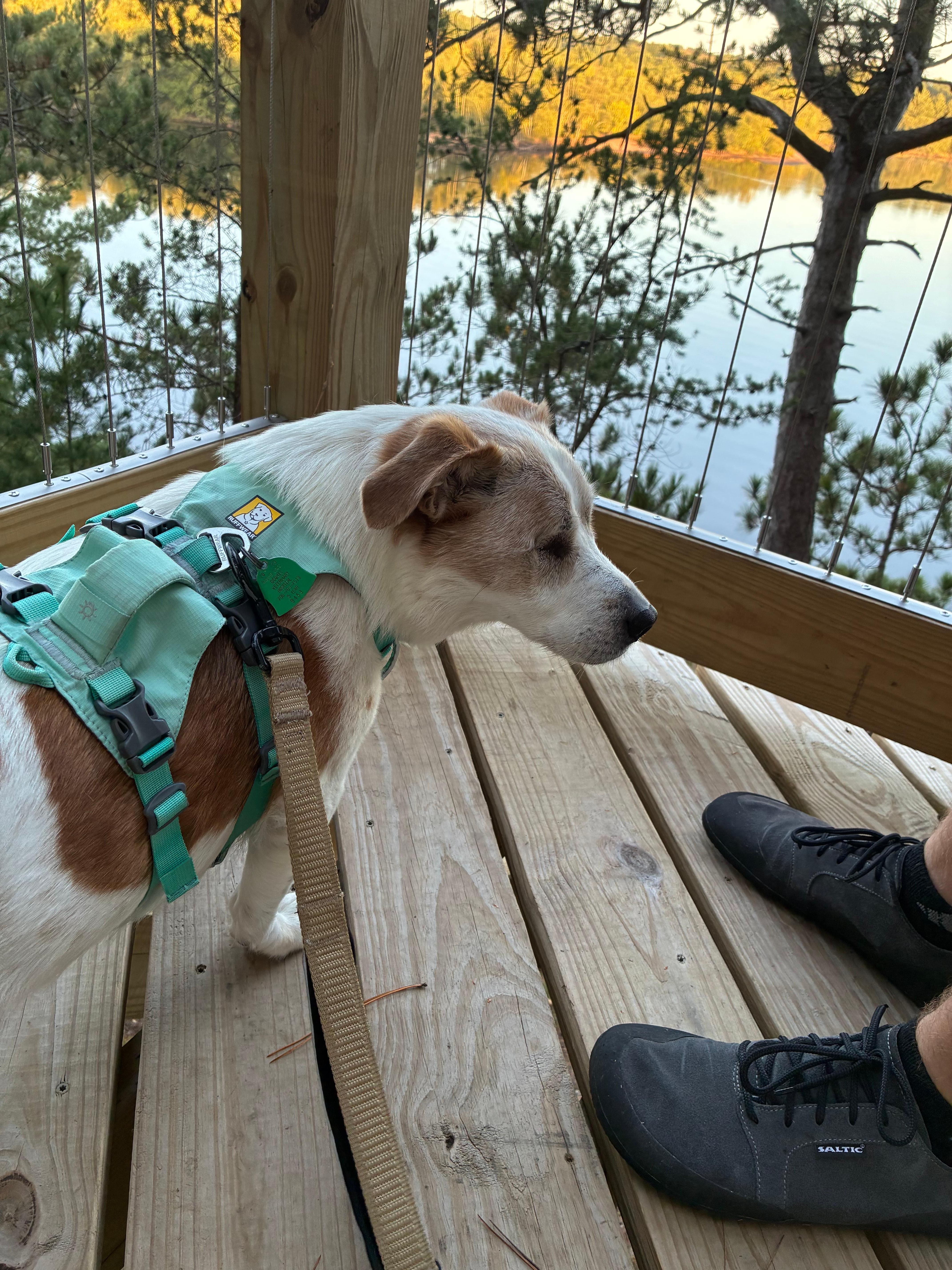 Overlook by the river. 