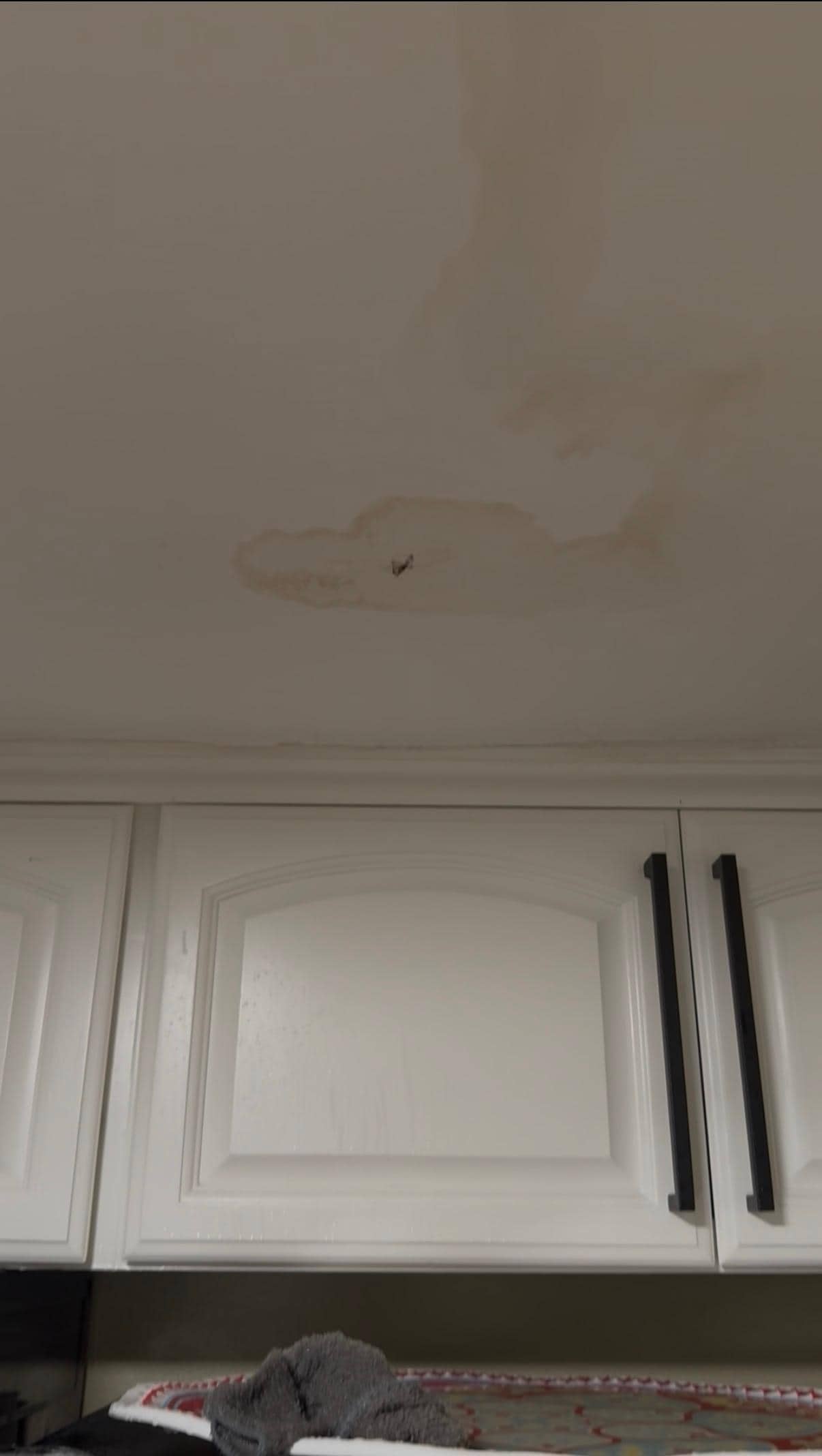 Leak from upstairs shower that ran downstairs above the fridge.