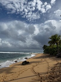 Beach 40 steps from home.