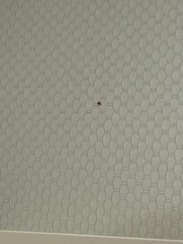 Un poco mรกs cerca