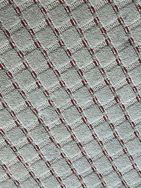 Filthy, Dirty, Smelly, Damaged Carpeting throughout the unit