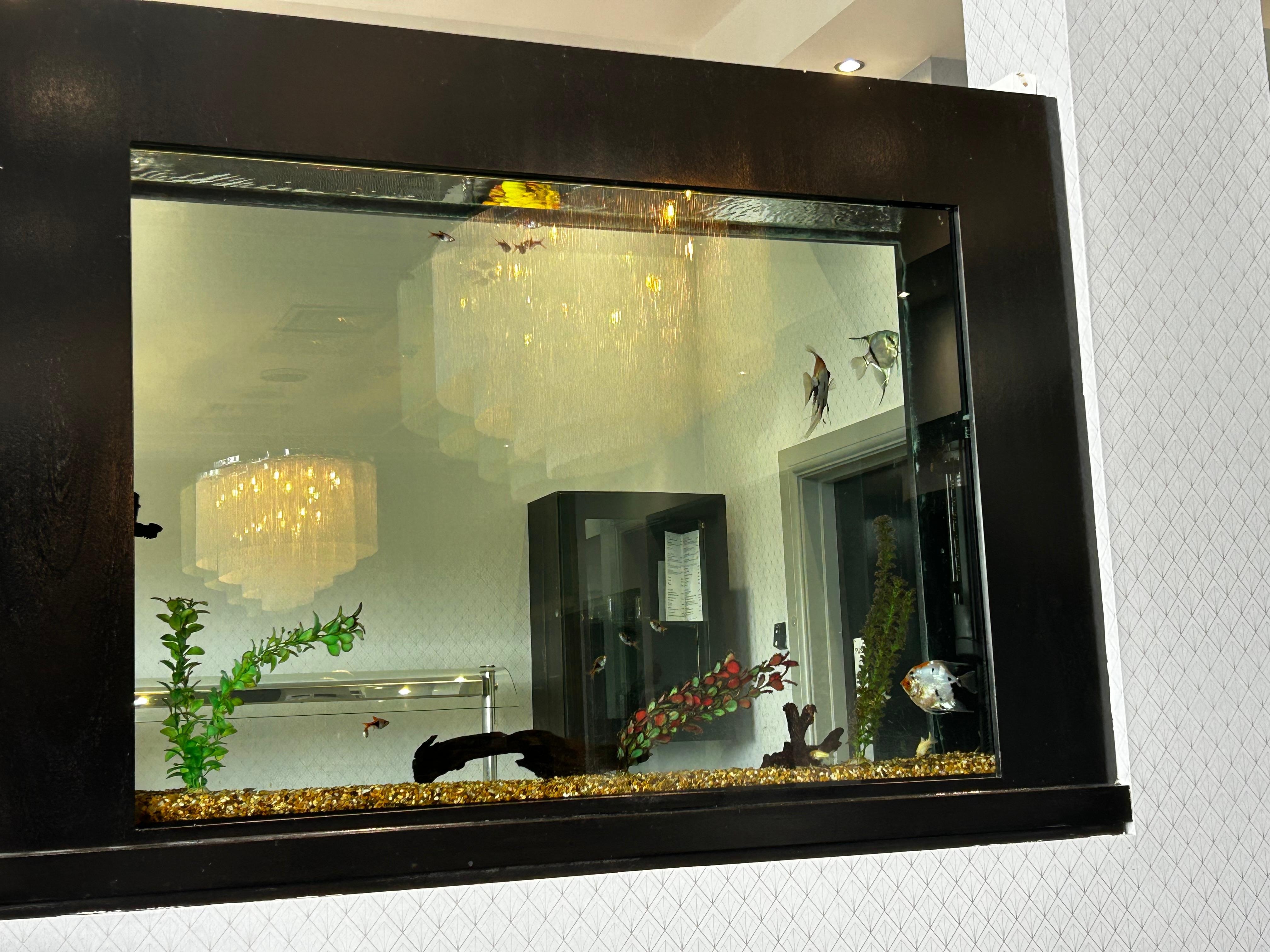 Aquarium in the Club Lounge
