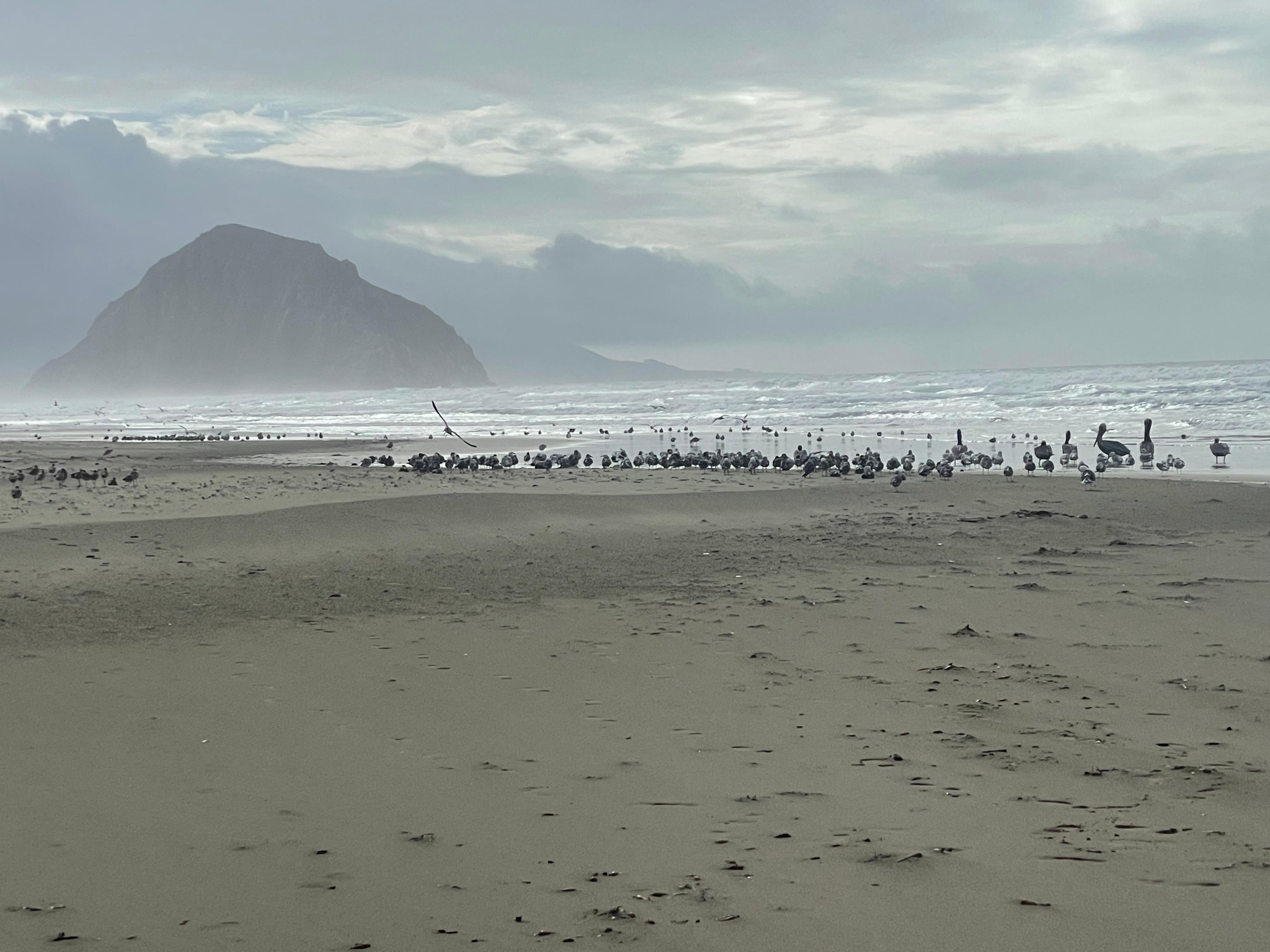 Walk on the beach just down the street