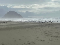 Walk on the beach just down the street